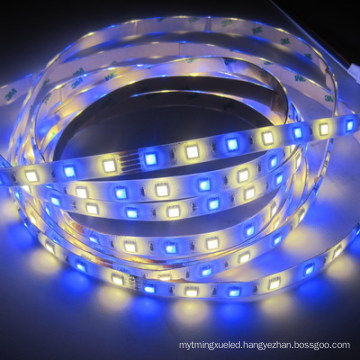 Waterproof Flexible SMD5050 LED Strip